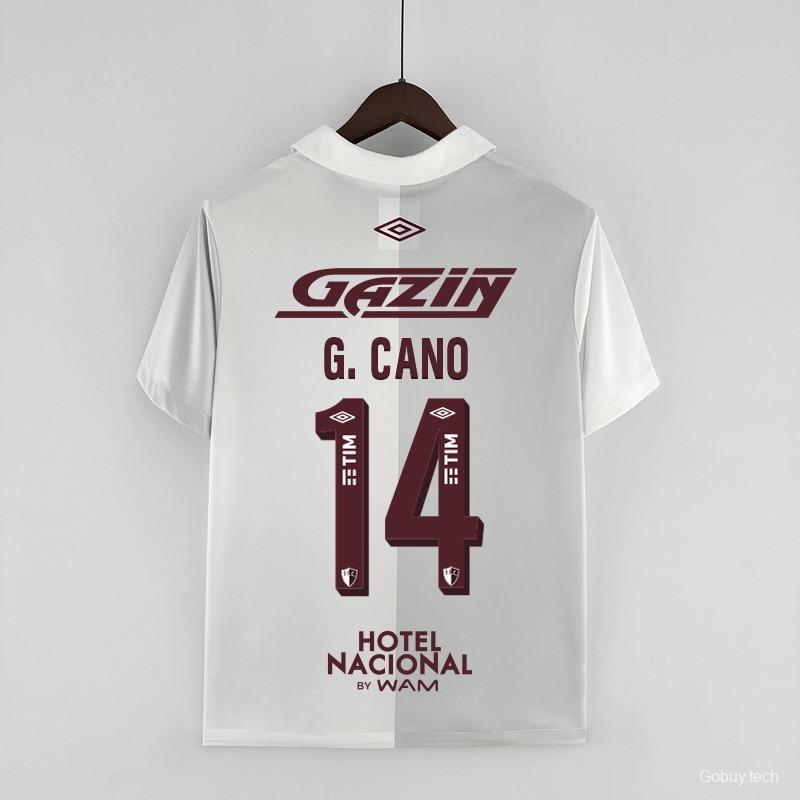 22/23 Fluminense All Sponsors 120th Anniversary White Grey jersey